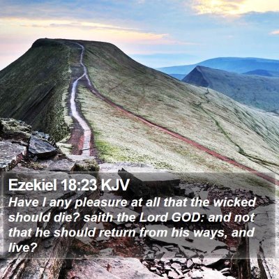 Ezekiel 18:23 KJV Bible Verse Image