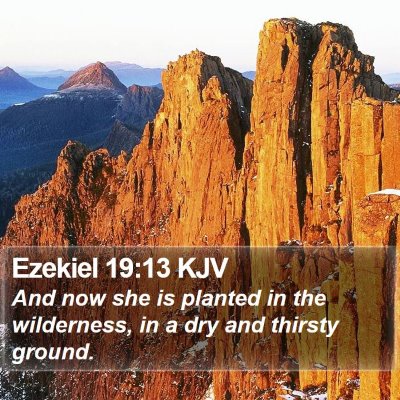 Ezekiel 19:13 KJV Bible Verse Image