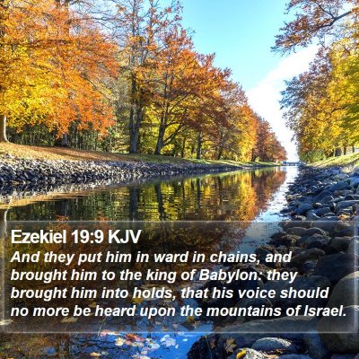 Ezekiel 19:9 KJV Bible Verse Image