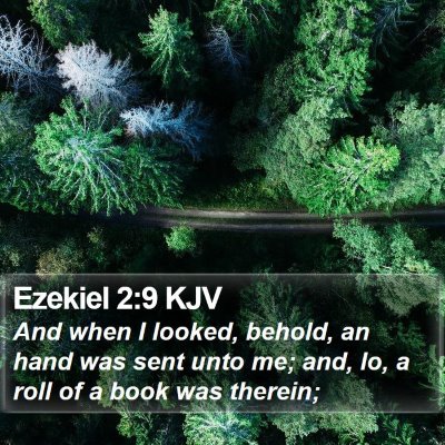 Ezekiel 2:9 KJV Bible Verse Image