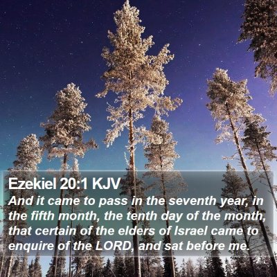 Ezekiel 20:1 KJV Bible Verse Image