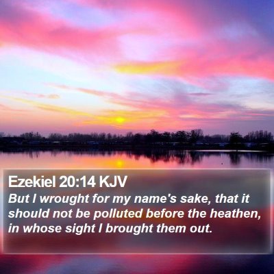 Ezekiel 20:14 KJV Bible Verse Image