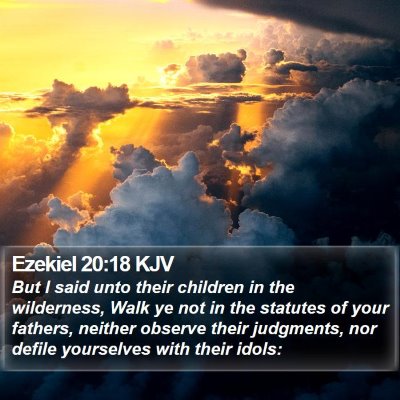 Ezekiel 20:18 KJV Bible Verse Image