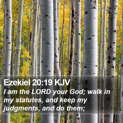 Ezekiel 20:19 KJV Bible Verse Image