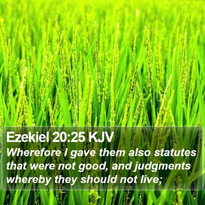 Ezekiel 20:25 KJV Bible Verse Image
