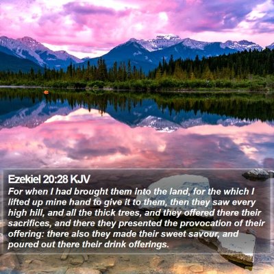Ezekiel 20:28 KJV Bible Verse Image