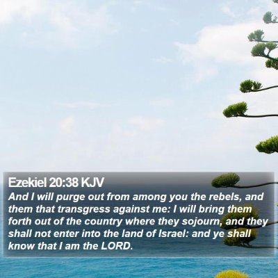 Ezekiel 20:38 KJV Bible Verse Image