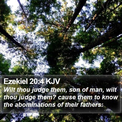 Ezekiel 20:4 KJV Bible Verse Image