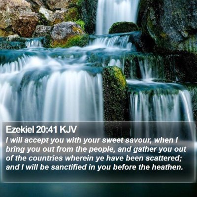 Ezekiel 20:41 KJV Bible Verse Image