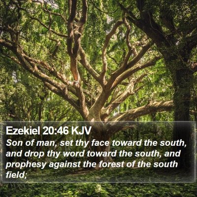 Ezekiel 20:46 KJV Bible Verse Image