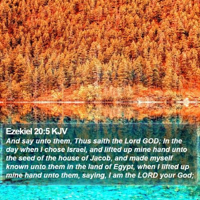 Ezekiel 20:5 KJV Bible Verse Image