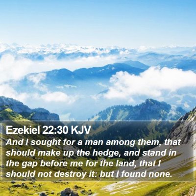 Ezekiel 22:30 KJV Bible Verse Image