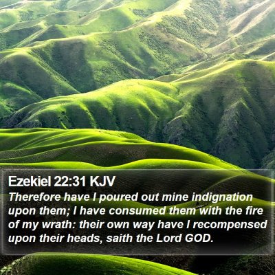 Ezekiel 22:31 KJV Bible Verse Image