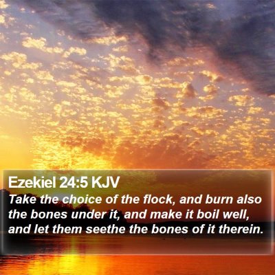 Ezekiel 24:5 KJV Bible Verse Image