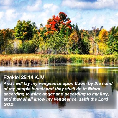 Ezekiel 25:14 KJV Bible Verse Image