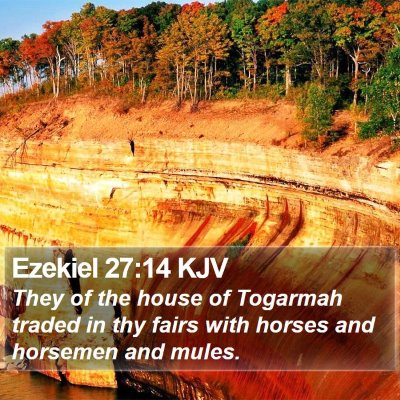 Ezekiel 27:14 KJV Bible Verse Image