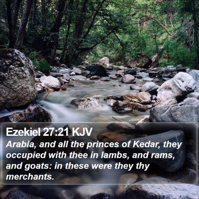 Ezekiel 27:21 KJV Bible Verse Image