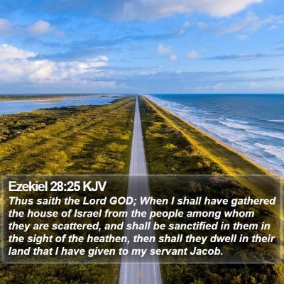 Ezekiel 28:25 KJV Bible Verse Image