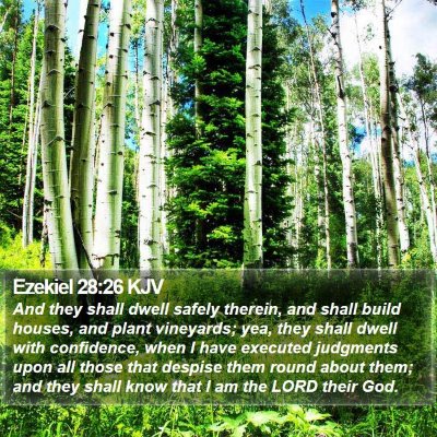 Ezekiel 28:26 KJV Bible Verse Image