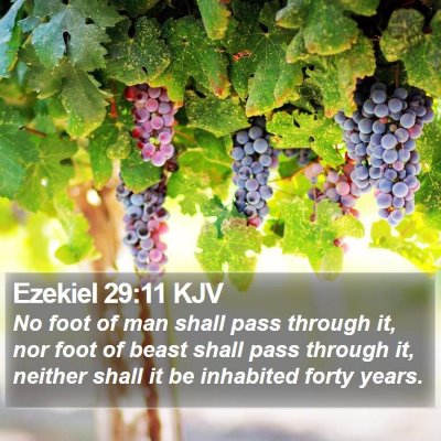 Ezekiel 29:11 KJV Bible Verse Image