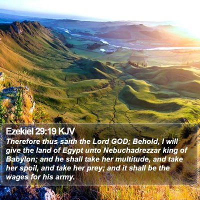 Ezekiel 29:19 KJV Bible Verse Image