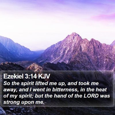 Ezekiel 3:14 KJV Bible Verse Image
