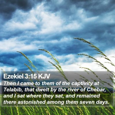 Ezekiel 3:15 KJV Bible Verse Image