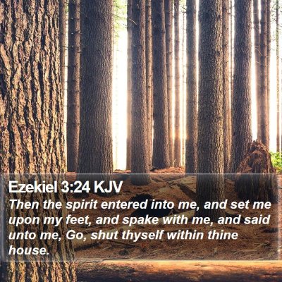 Ezekiel 3:24 KJV Bible Verse Image