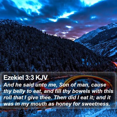 Ezekiel 3:3 KJV Bible Verse Image