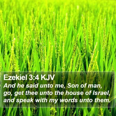 Ezekiel 3:4 KJV Bible Verse Image