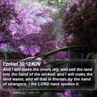 Ezekiel 30:12 KJV Bible Verse Image