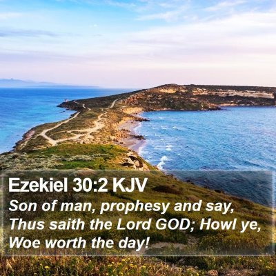 Ezekiel 30:2 KJV Bible Verse Image