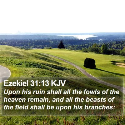 Ezekiel 31:13 KJV Bible Verse Image