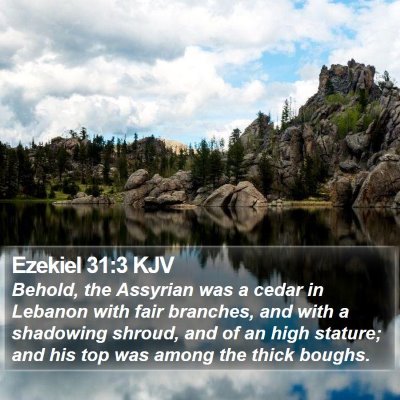 Ezekiel 31:3 KJV Bible Verse Image