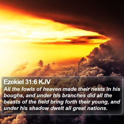 Ezekiel 31:6 KJV Bible Verse Image