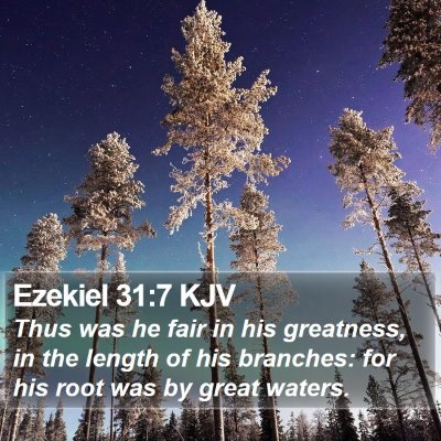 Ezekiel 31:7 KJV Bible Verse Image