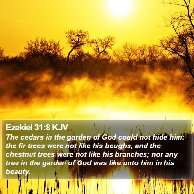 Ezekiel 31:8 KJV Bible Verse Image