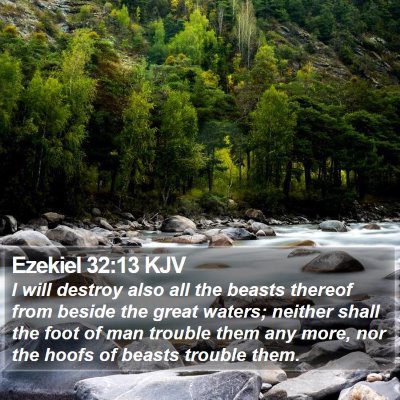 Ezekiel 32:13 KJV Bible Verse Image