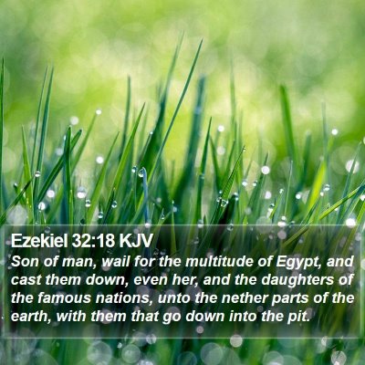 Ezekiel 32:18 KJV Bible Verse Image