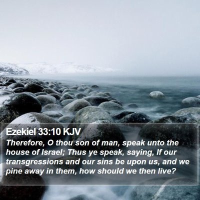Ezekiel 33:10 KJV Bible Verse Image