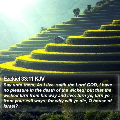 Ezekiel 33:11 KJV Bible Verse Image