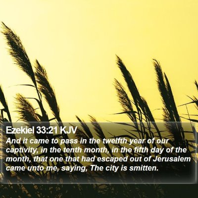 Ezekiel 33:21 KJV Bible Verse Image