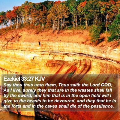 Ezekiel 33:27 KJV Bible Verse Image