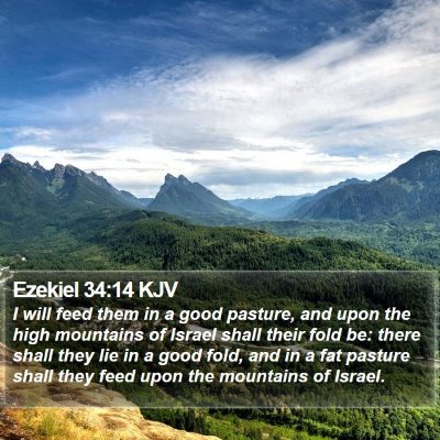 Ezekiel 34:14 KJV Bible Verse Image