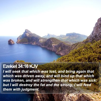 Ezekiel 34:16 KJV Bible Verse Image