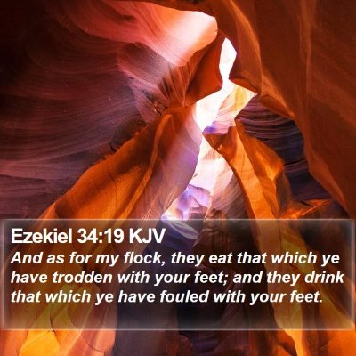 Ezekiel 34:19 KJV Bible Verse Image