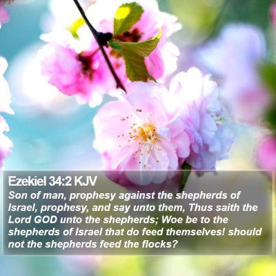 Ezekiel 34:2 KJV Bible Verse Image