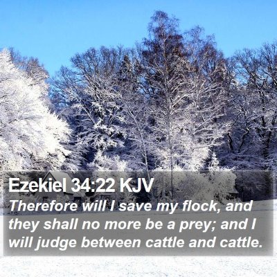 Ezekiel 34:22 KJV Bible Verse Image