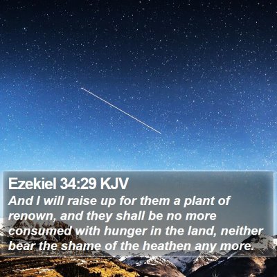 Ezekiel 34:29 KJV Bible Verse Image