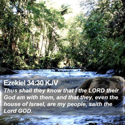 Ezekiel 34:30 KJV Bible Verse Image